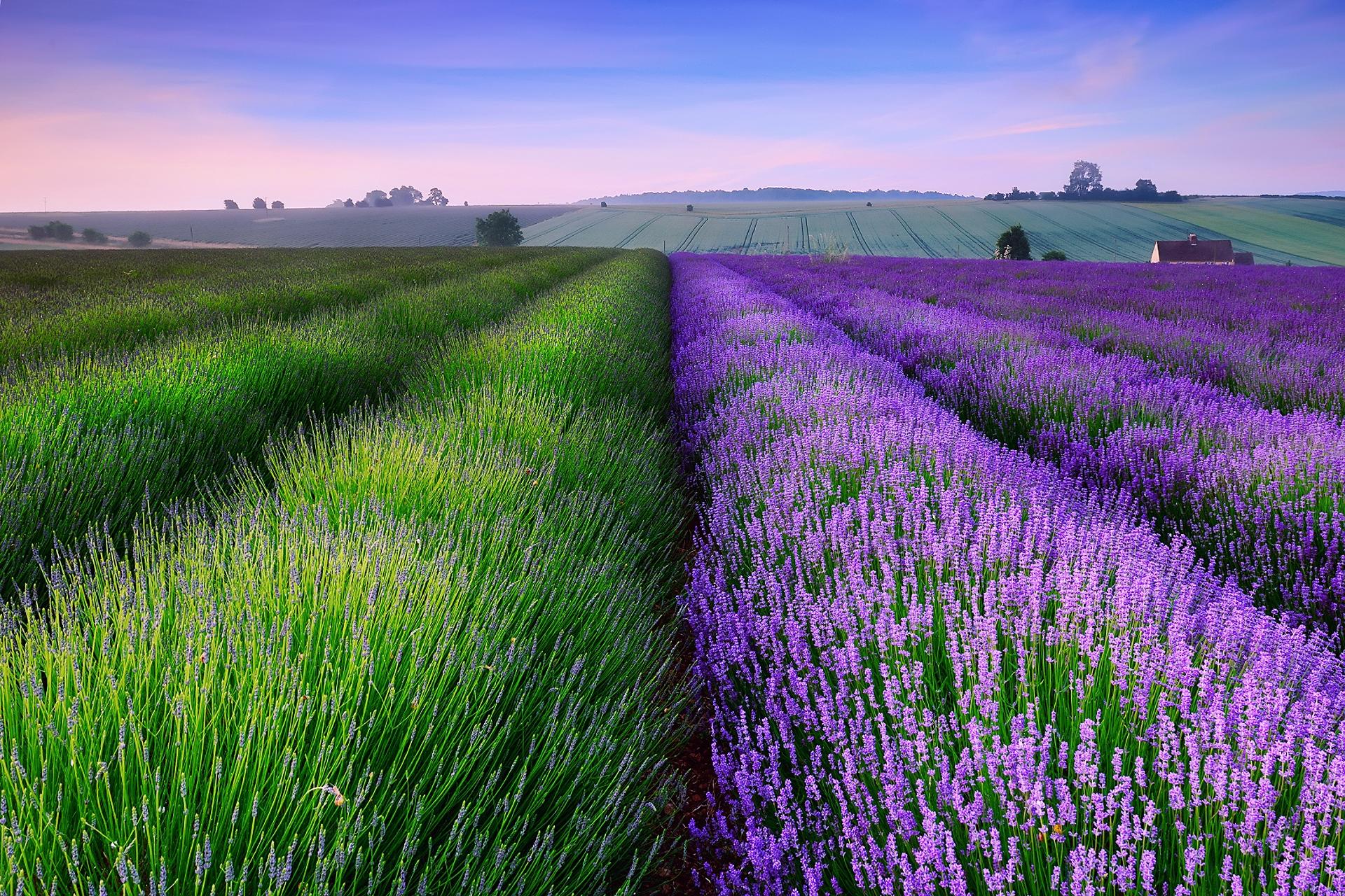 Frankreich-sprachaufenthalt-InTuition-Languages