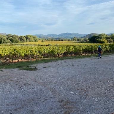 InTuition Frankreich