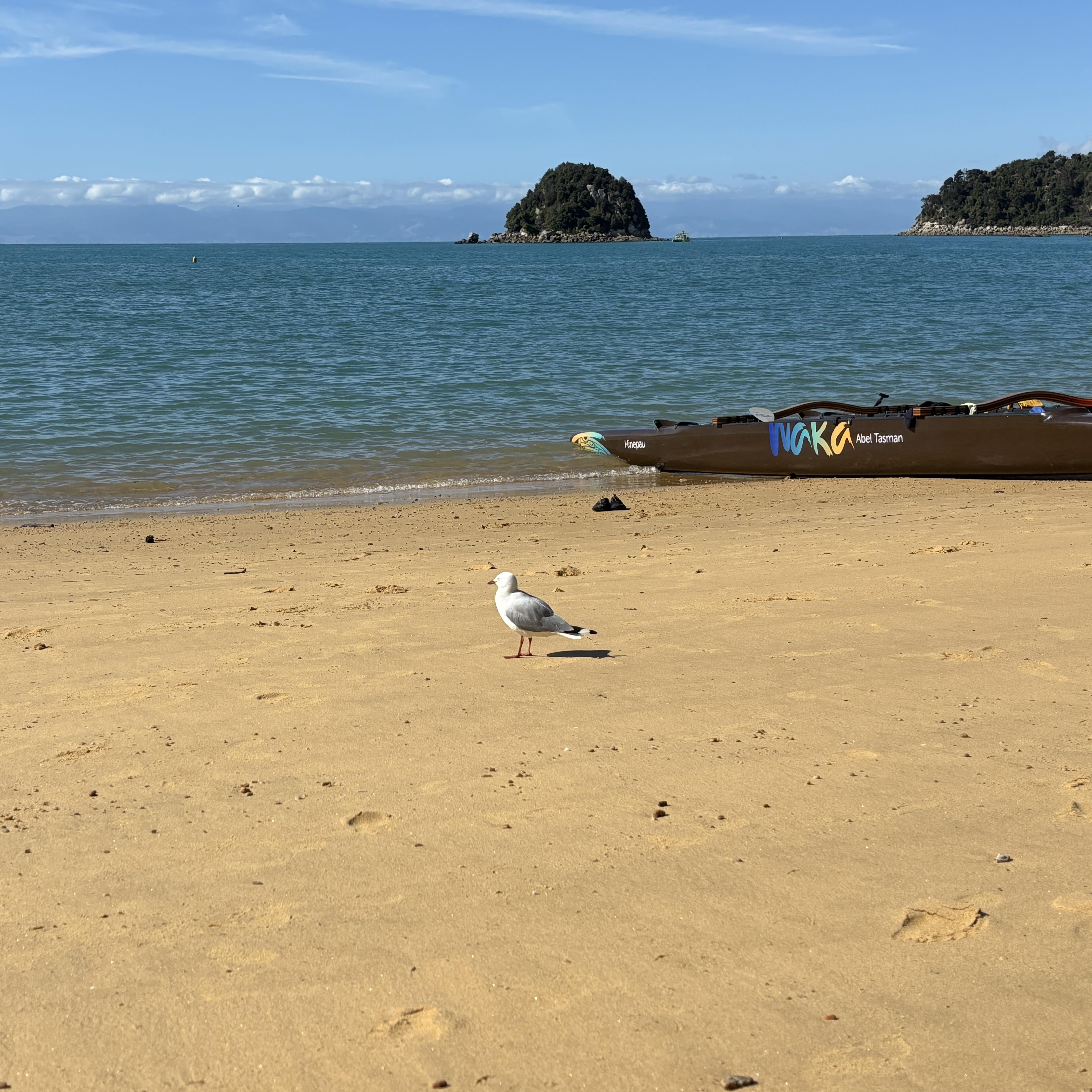Abel Tasman