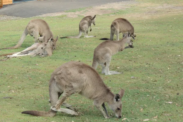 Brisbane