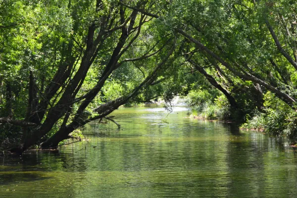 Maitai River
