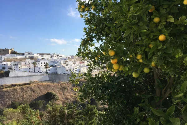 Vejer de la Frontera