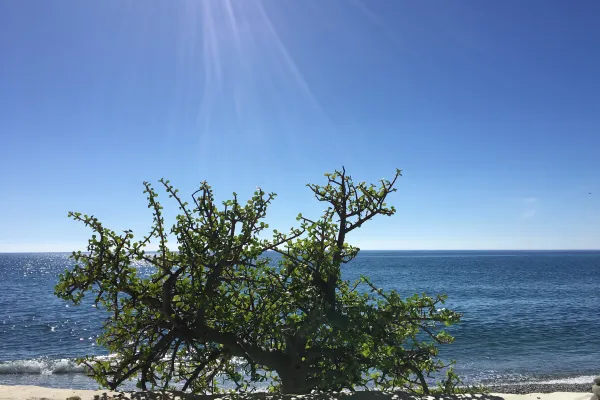 Lagos