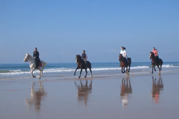 La Janda Vejer