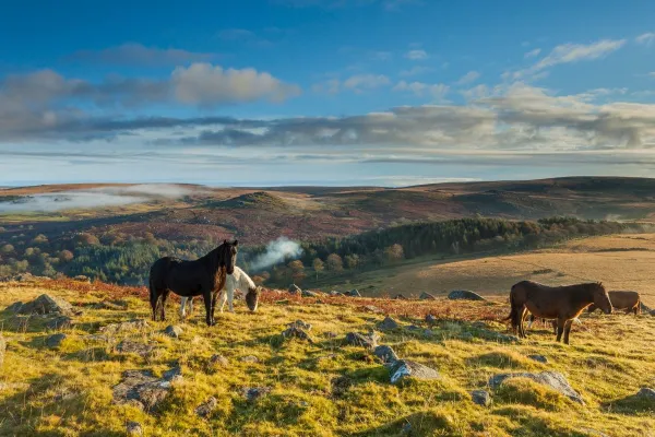 Dartmoor