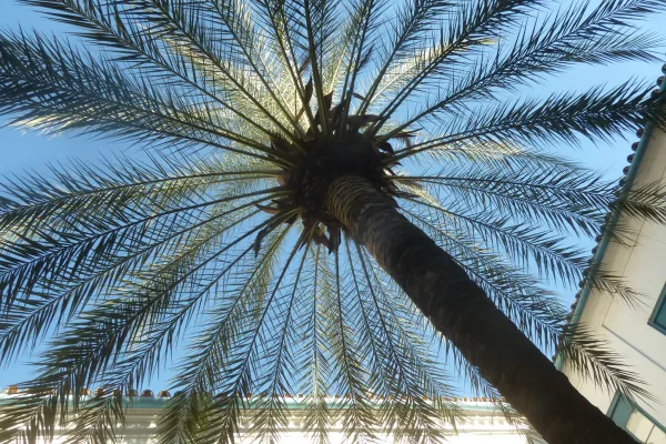 Malaga