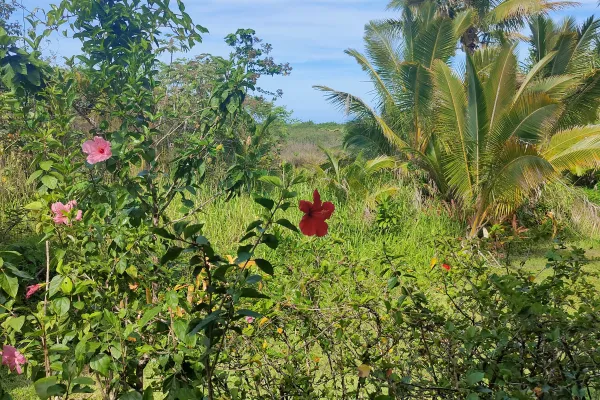 Hawaii