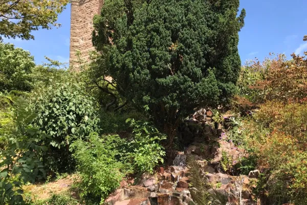 Bristol