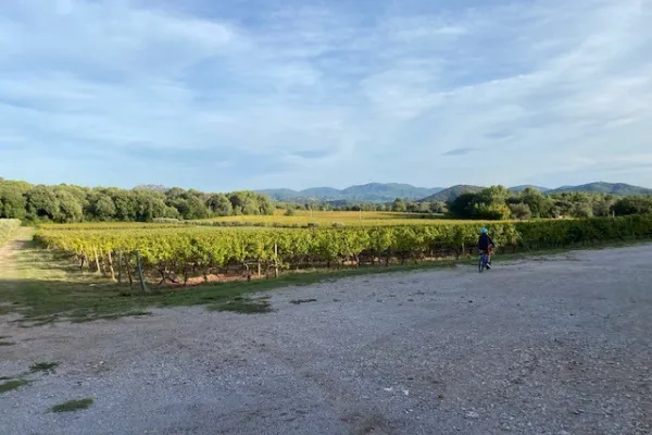 InTuition Frankreich