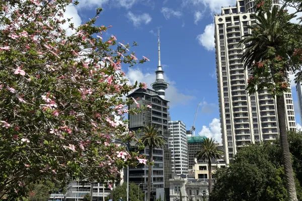 Auckland