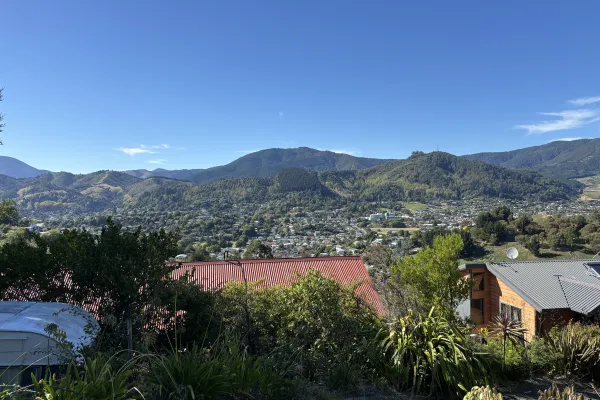 Nelson