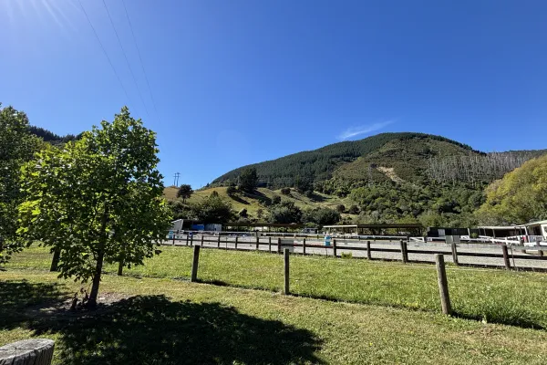 Nelson