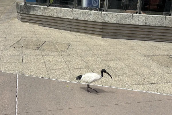 Southport Gold Coast